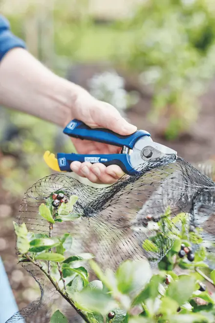 Pinza da giardino per reti Rapid FP20