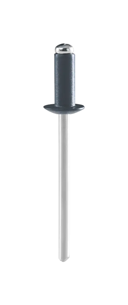Rapid Coloured rivet Anthracite Grey Ø4.8 x 12 mm