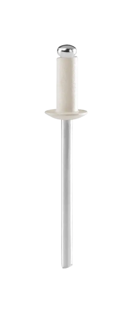 Rapid Farbige Niete cremeweiß Ø 4,8 x 12 mm